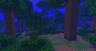 Underwater Jungle