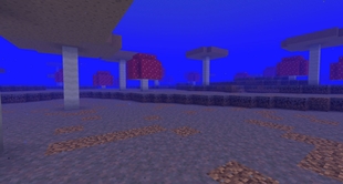 Underwater Mushrooms Fields
