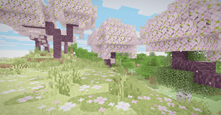 shader