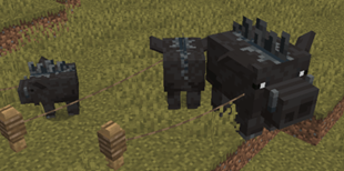 Wild boars spawn in three different size variants, with the largest and rarest proving very dangerous.