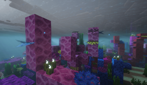 oceon