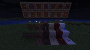 herbs_night.png