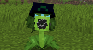 Mega