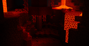 download (1).png