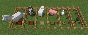 animal feeder.png