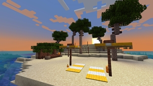 Coconut Palm Trees!
