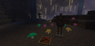 pic7.png