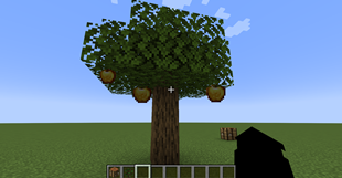 Screenshot 2026-08-13 124430.png