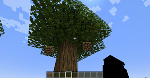 Screenshot 2026-08-13 124457.png