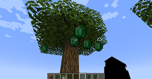 Screenshot 2026-08-13 125552.png