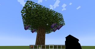 Screenshot 2026-08-13 125609.png