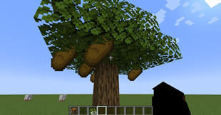 Screenshot 2026-08-13 124745.png