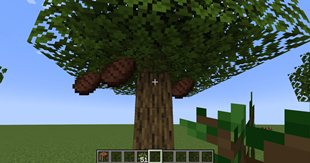 Screenshot 2026-08-13 124715.png