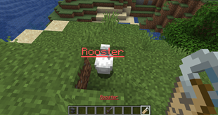 1000045580.png