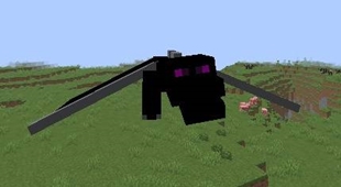 dragon.jpeg