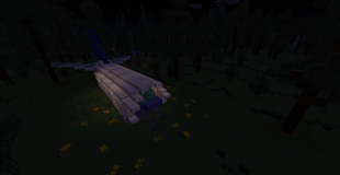 crashed plane