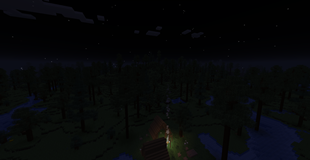 the dimension