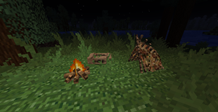 campsite