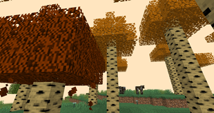 2026-08-13_11.57.50.png