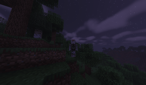 2026-08-13_12.59.45 (1).png