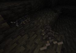 isopods.png