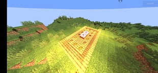 1000227650.jpg