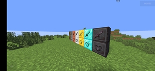 1000227656.jpg