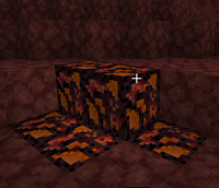 Nether coal being found.