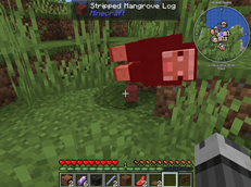 Screenshot 2026-08-14 194252.png
