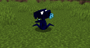 Plasma