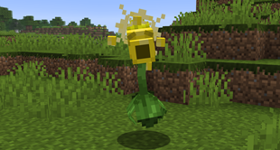 Sunny pea