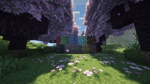 Cherry.jpg