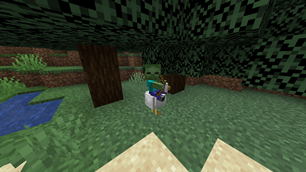 Chicken Jocky with a bow