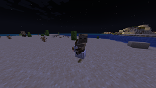 Chicken Jocky with a bow
