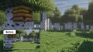 Birch Forest