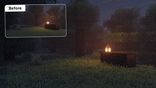 Night Forest