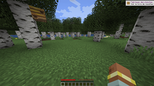 Crosshair in action