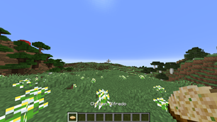 image_2026-08-15_184454781.png