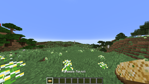 image_2026-08-15_184533877.png