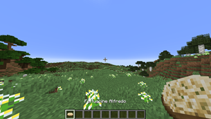 image_2026-08-15_184612151.png