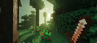 Screenshot 29