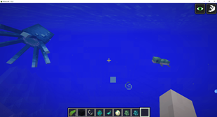 06.png