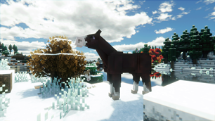 SWEM Horses
