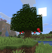 Apple tree