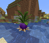 CalmRoot - Copy.png