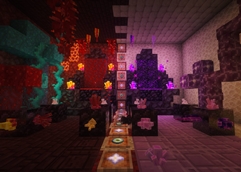 crystals showcase.jpg