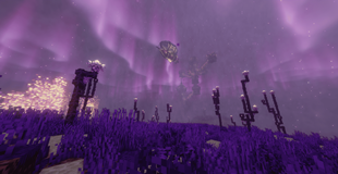 New biome from End.png