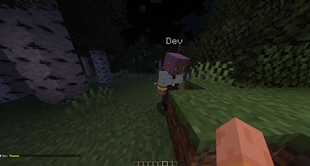 Getting Pinged