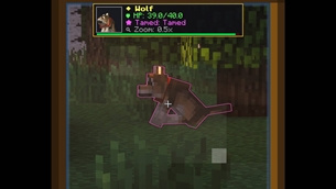 wolf.jpg