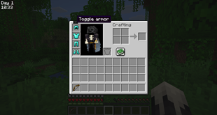 Button to show and hide the armor.